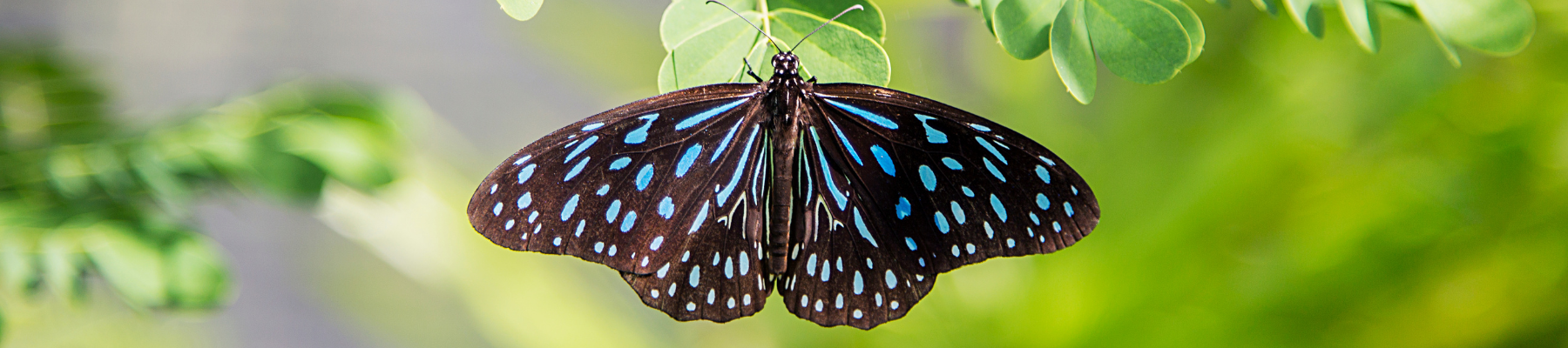 Headerbild Landingpage